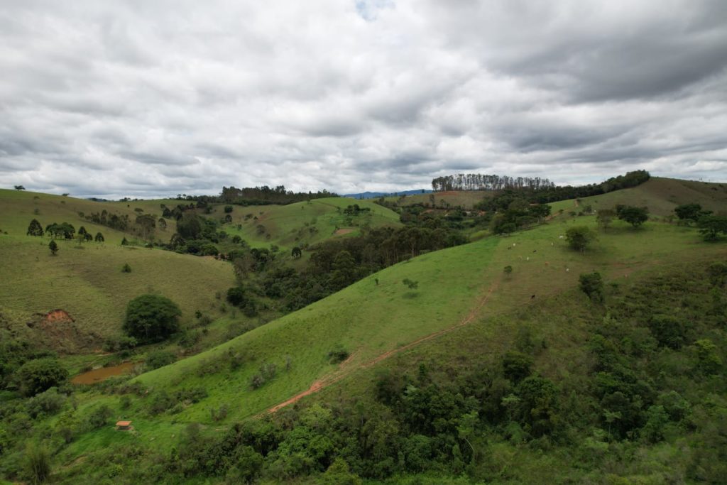 SP promove restauração de 1.300 hectares no Vale do Paraíba com geração de renda para produtores