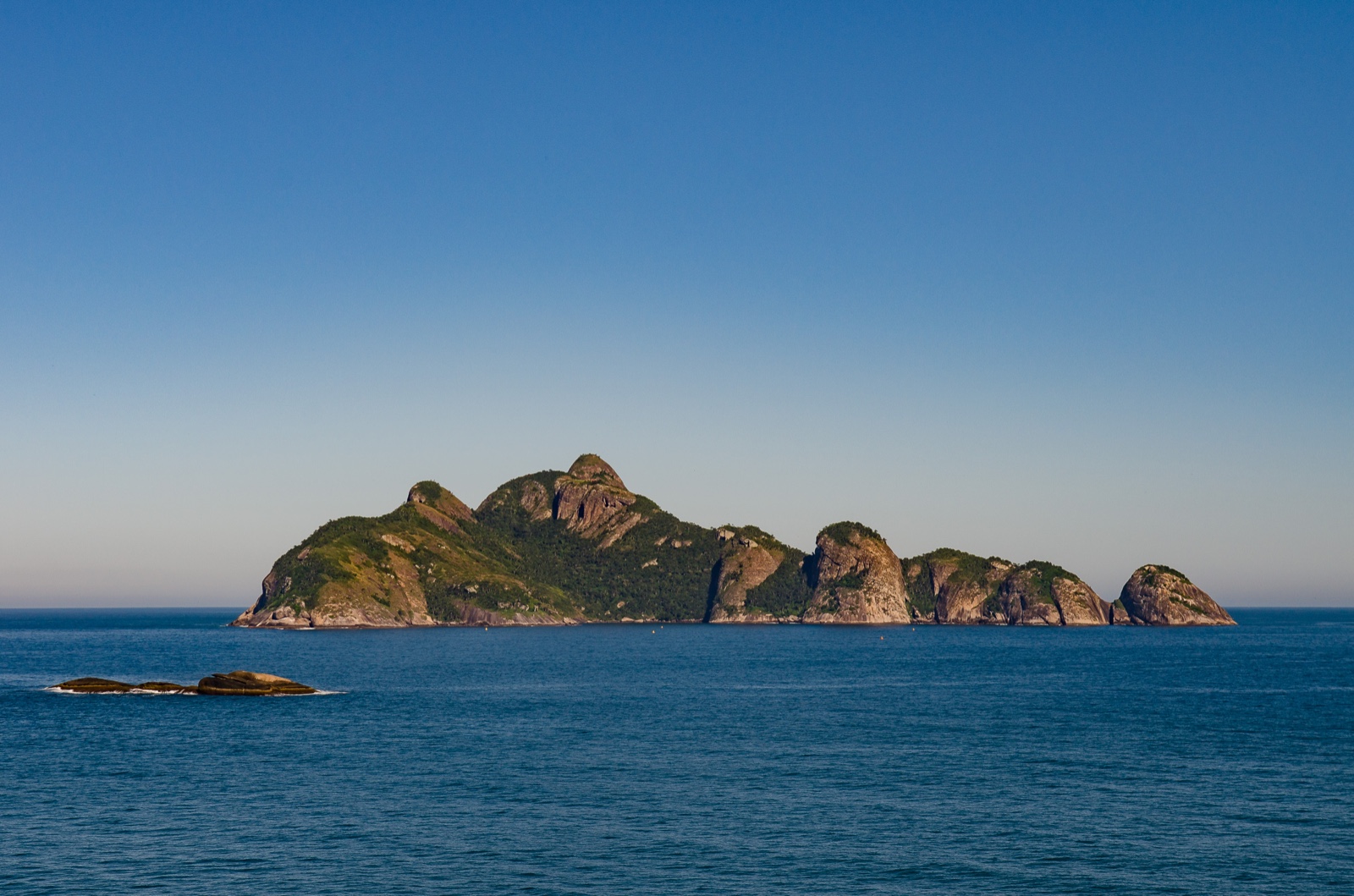 Analgésicos de uso comum ameaçam base da cadeia alimentar marinha, alerta pesquisa